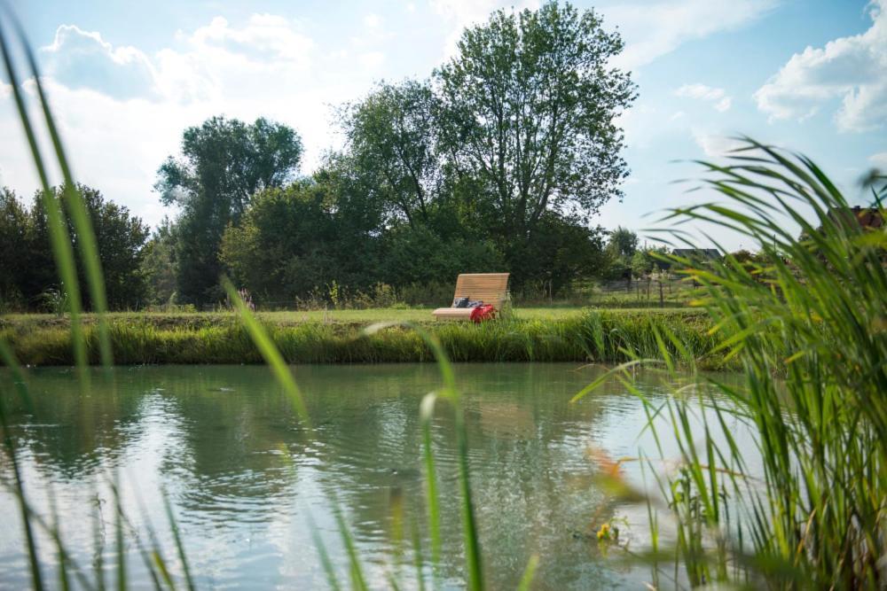Apartamenty U Harrego II Przy Stawie Spa Klimatyzacja,Balkon,Sauna , Balia, Ogrod,Parking Kudowa-Zdrój Esterno foto